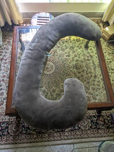 Molty foam Pregnancy Pillow