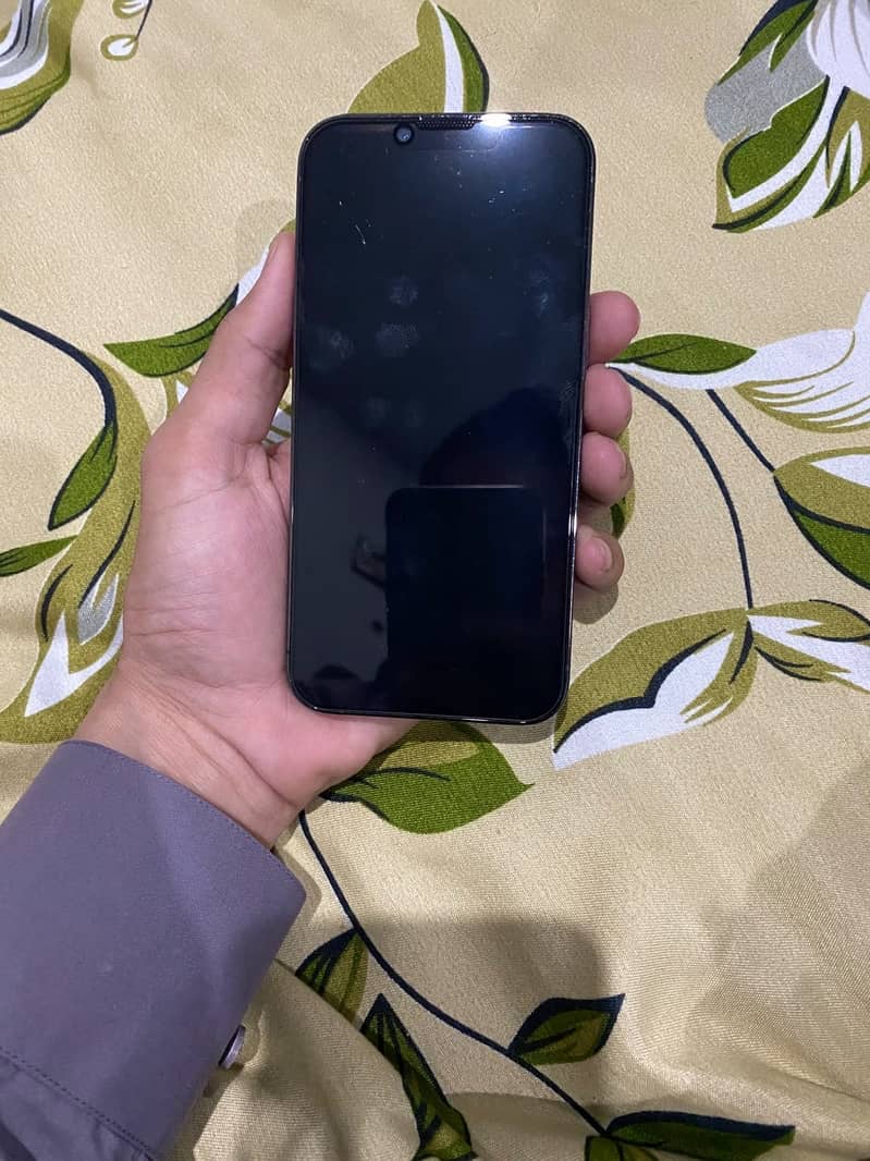 Apple iPhone 13 Pro 1