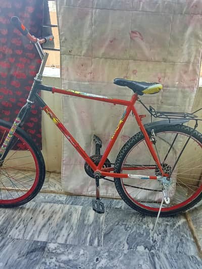 new phonix cycle