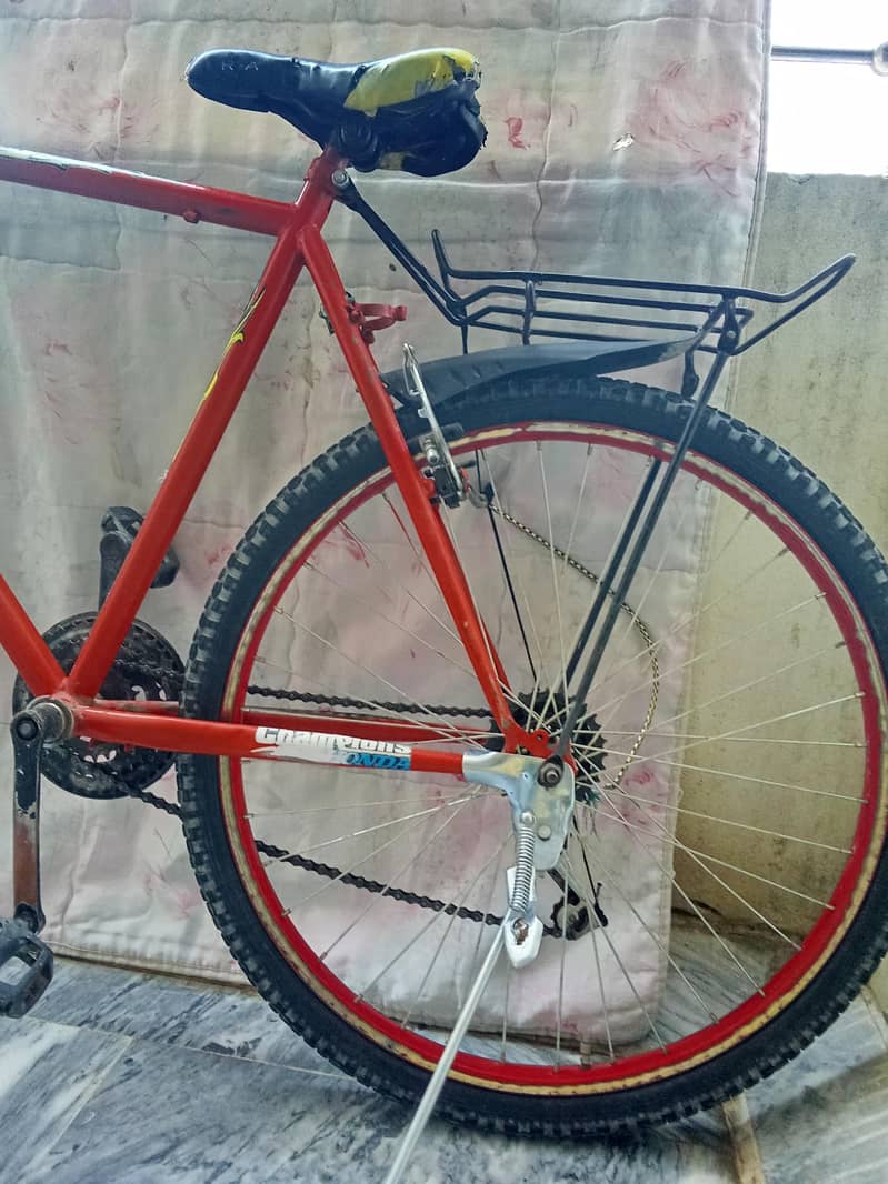 new phonix cycle 1