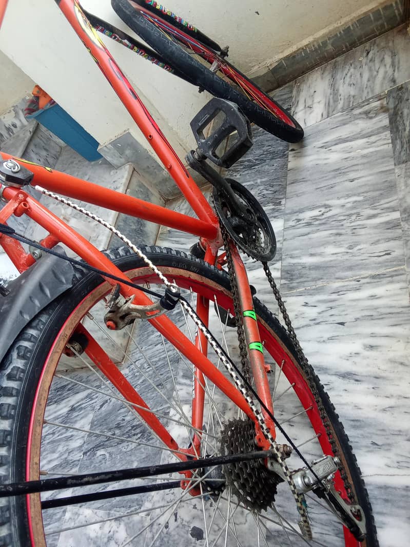 new phonix cycle 2