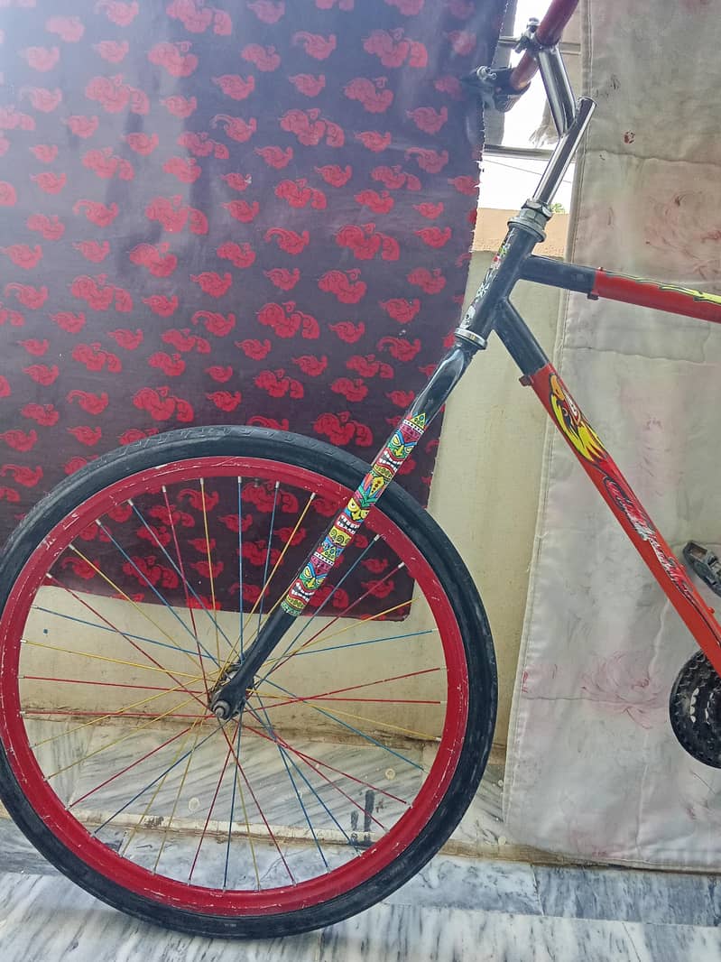 new phonix cycle 4