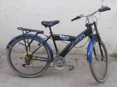 Deluxe Bicycle for sale