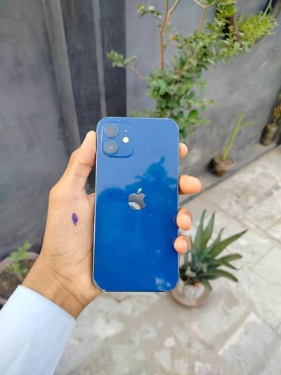 Apple iPhone 12