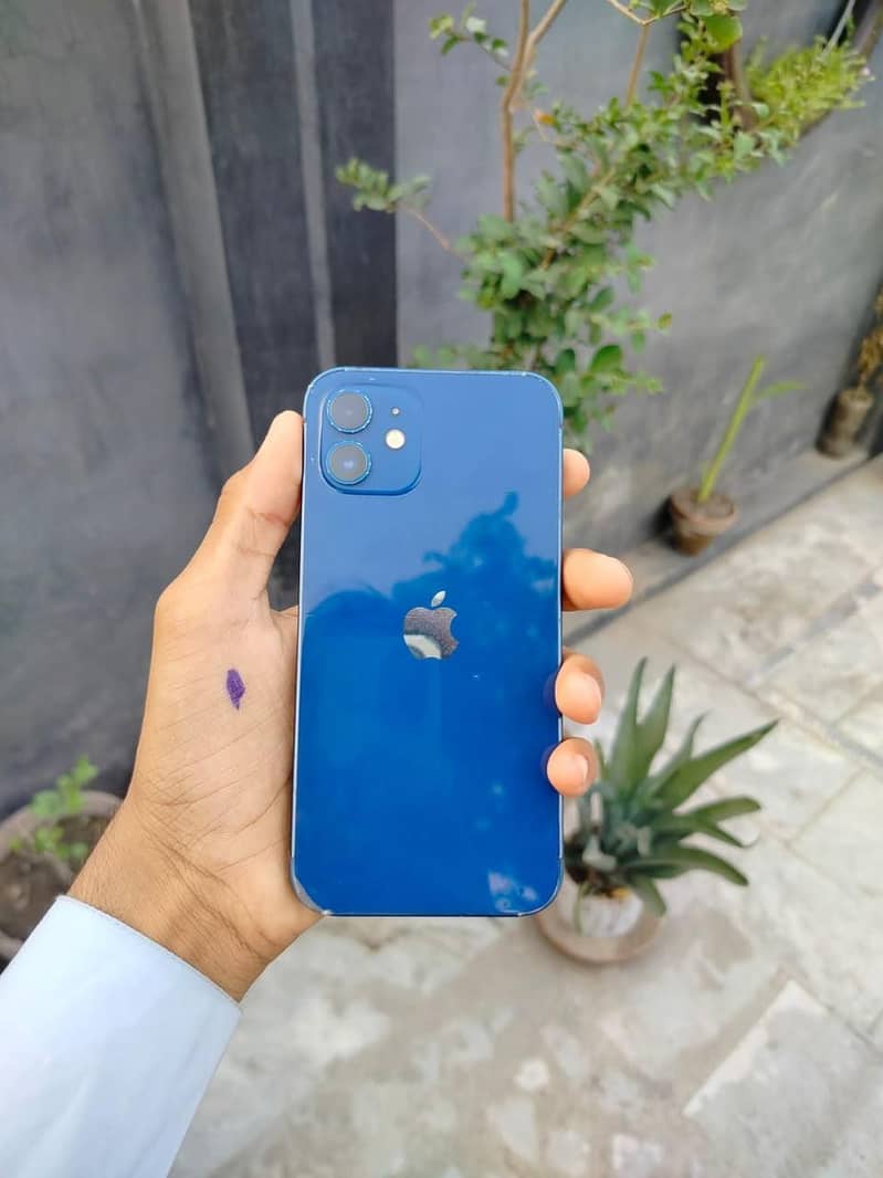 Apple iPhone 12 0