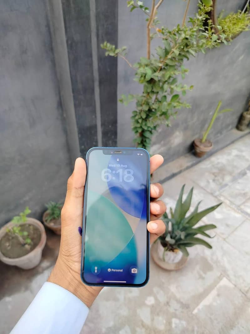 Apple iPhone 12 1