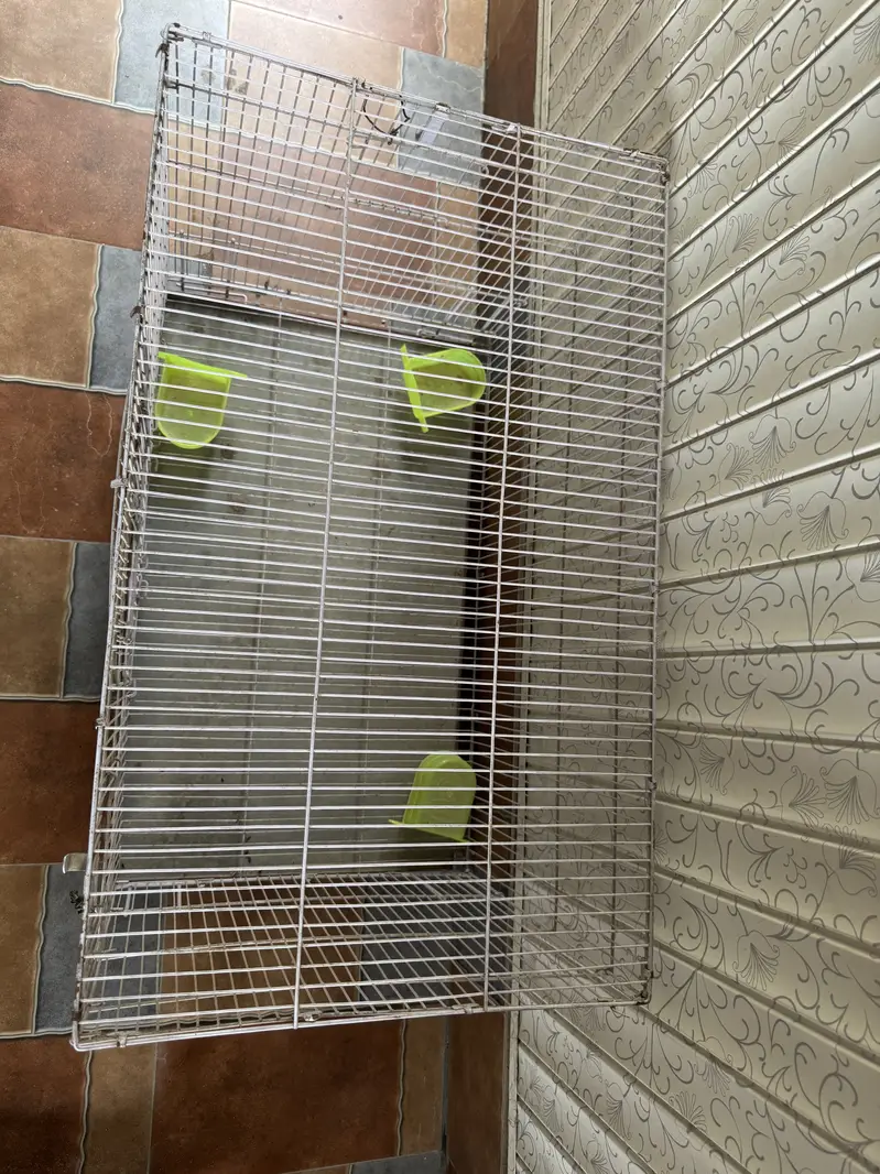 Parrot Cage for Sale – Good Condition — photo 3