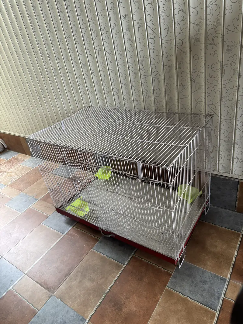 Parrot Cage for Sale – Good Condition — photo 4