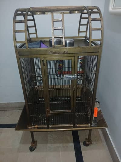 Gray and raw parrot cage