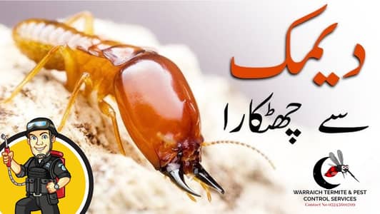 Fumigation Services | Termite Control | Pest Control | Deemak Control