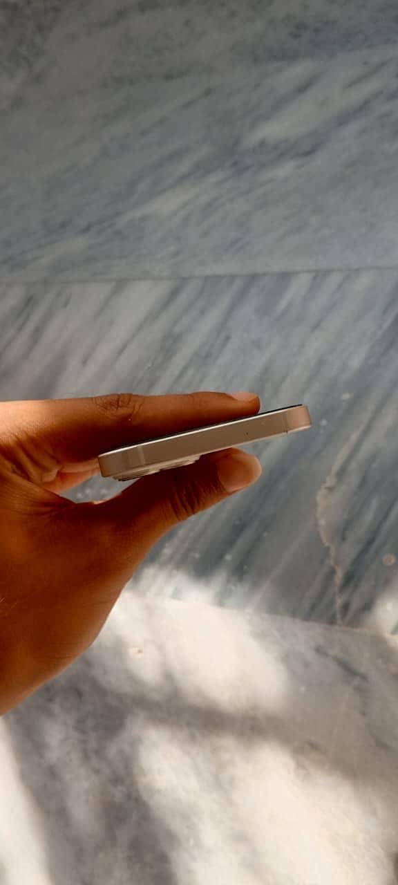 Apple iPhone 13 0