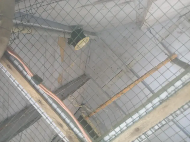 bird cage — photo 2