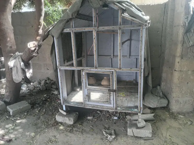 bird cage — photo 3