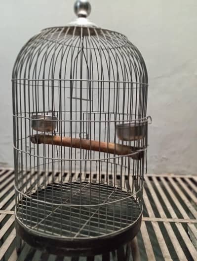 parrot cage available ha