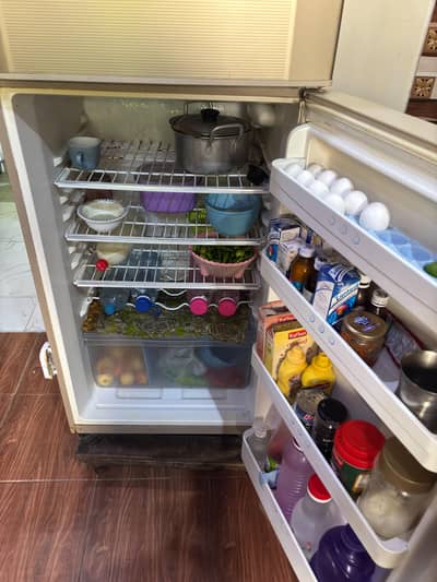 Pel Fridge Urgent sale
