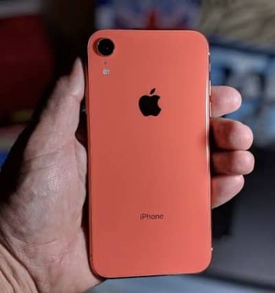 iPhone xr