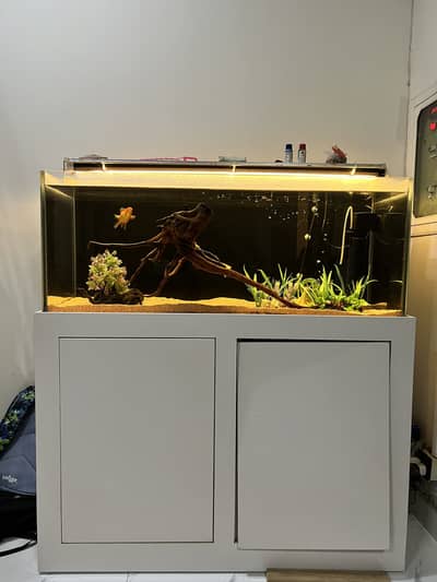 Crystal Aquarium/Fish Tank