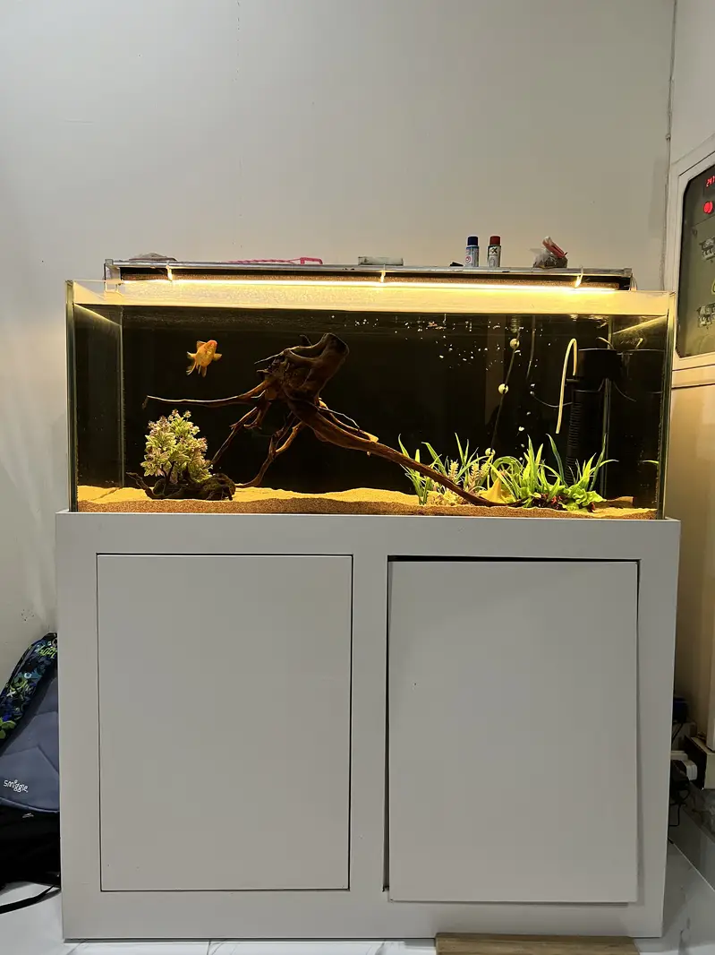 Crystal Aquarium/Fish Tank