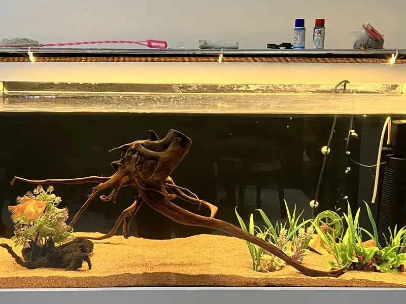 Crystal Aquarium/Fish Tank — photo 2