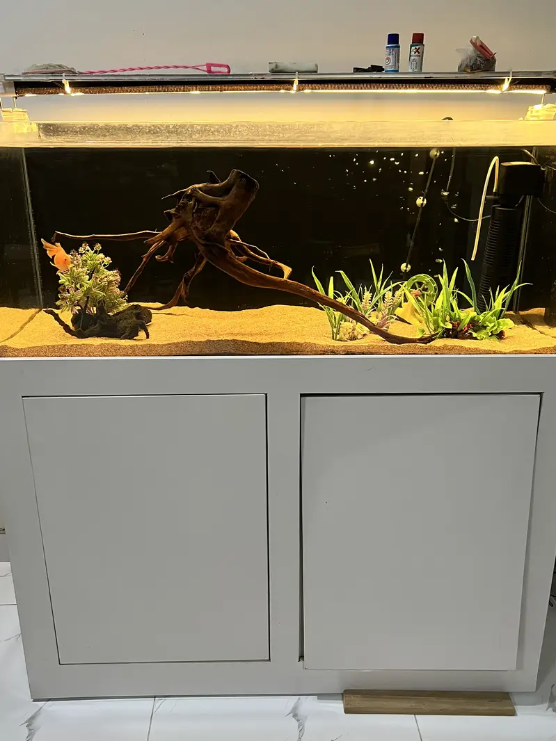 Crystal Aquarium/Fish Tank — photo 3