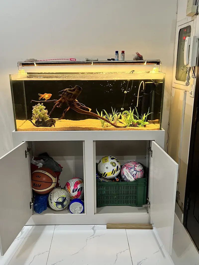 Crystal Aquarium/Fish Tank — photo 4