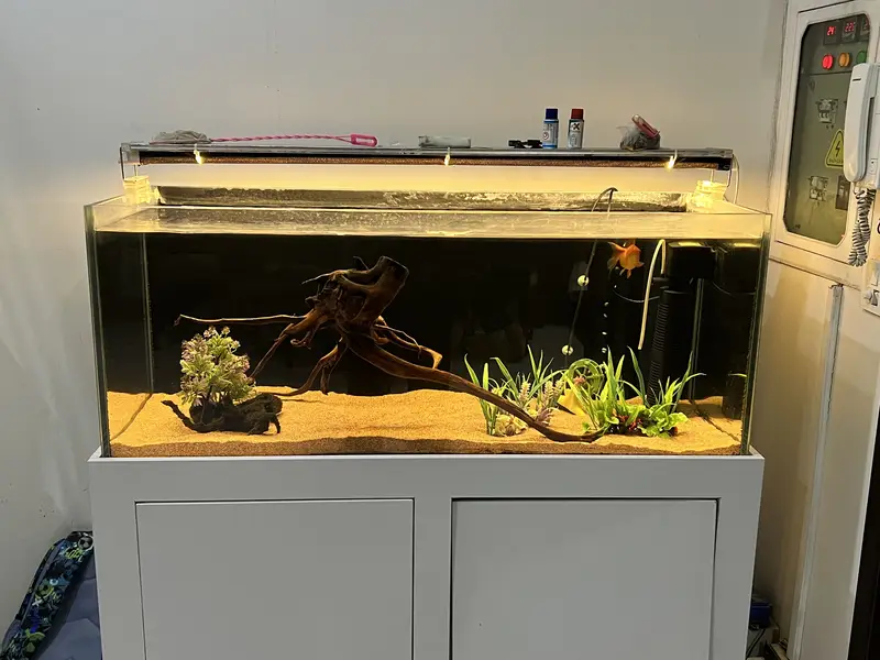 Crystal Aquarium/Fish Tank — photo 5