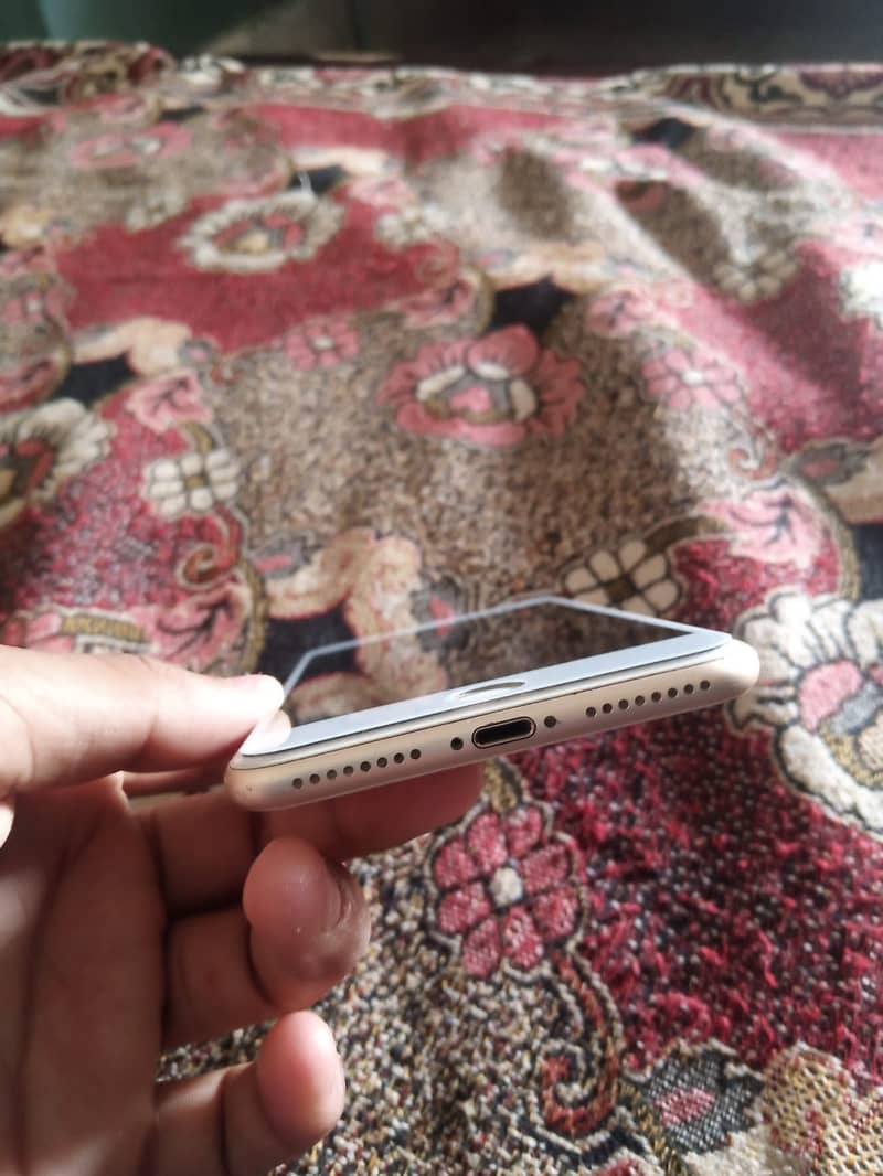 Apple iPhone 7 Plus 5