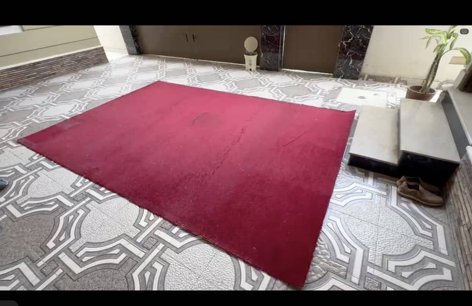 Large Red Carpet 0