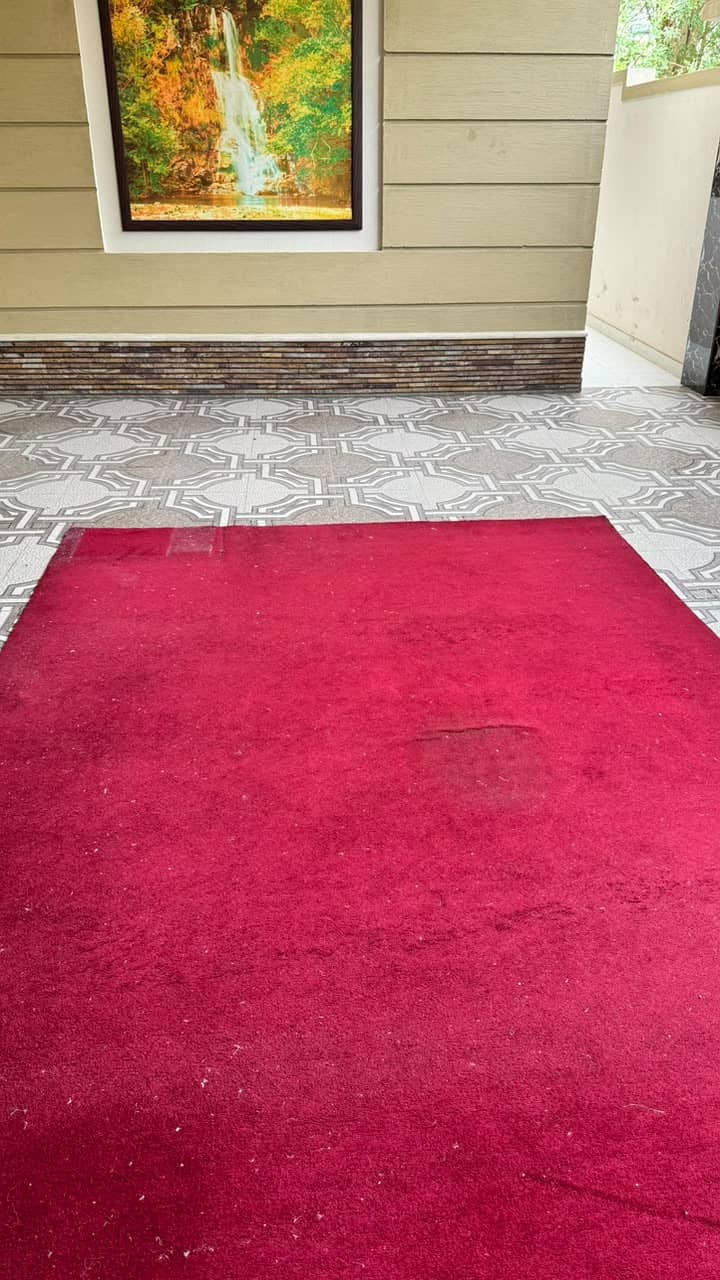 Large Red Carpet 1