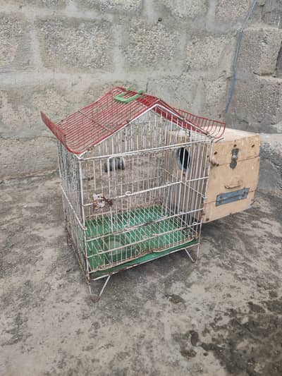 cage for sell (bajri or lovebird)