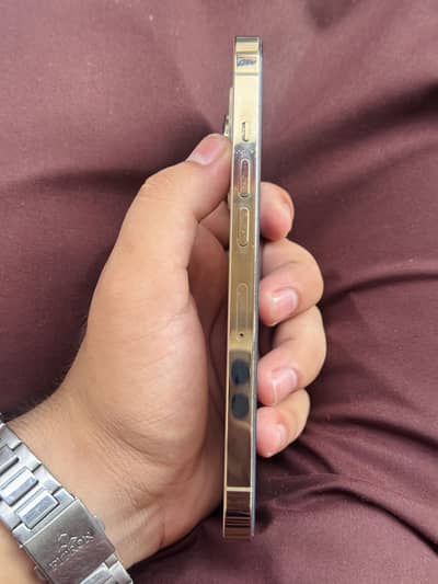 Apple iPhone 13 Pro