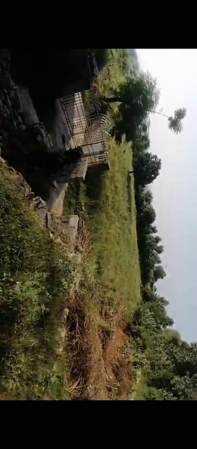 land a house