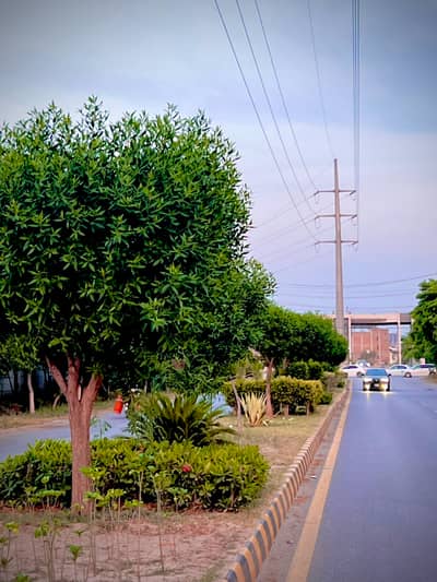 5 marla plot available for sale in RMT Zone 1