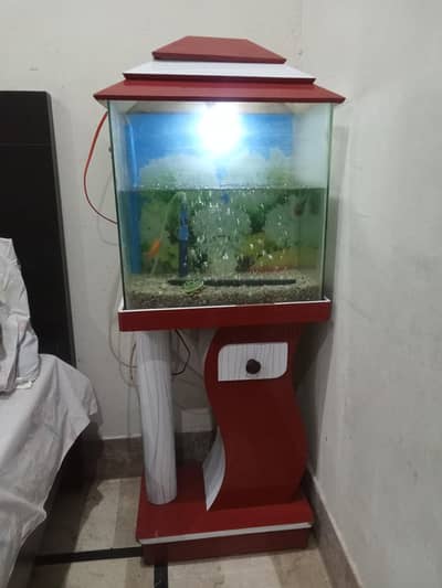 fish aquarium