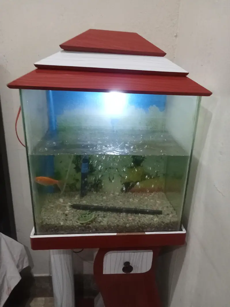 fish aquarium — photo 2