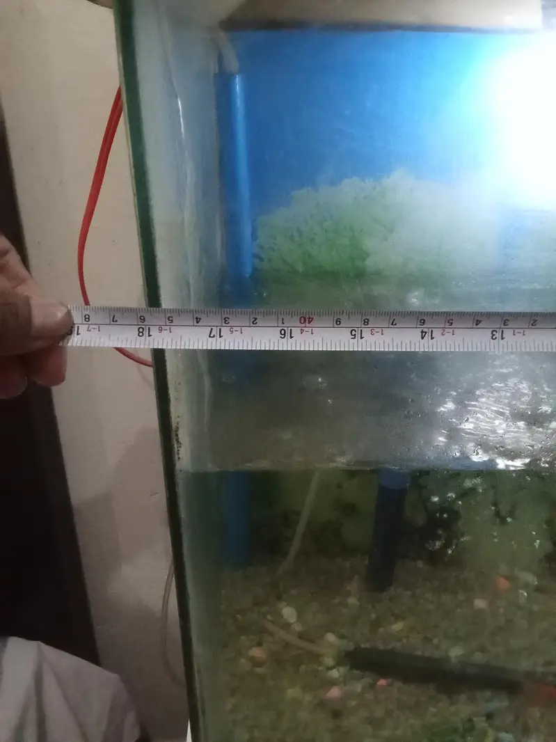 fish aquarium — photo 5