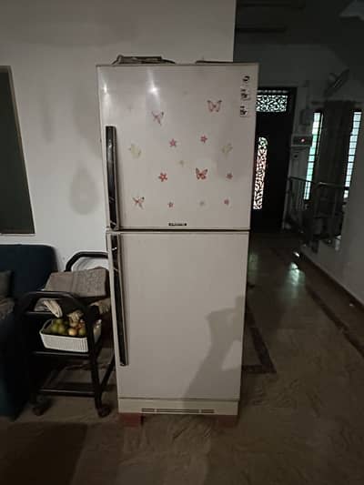 PEL PRA-160 Refrigerator | Excellent Cooling
