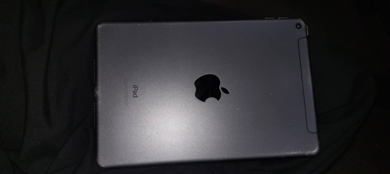 Ipad Mini 5 64Gb 0