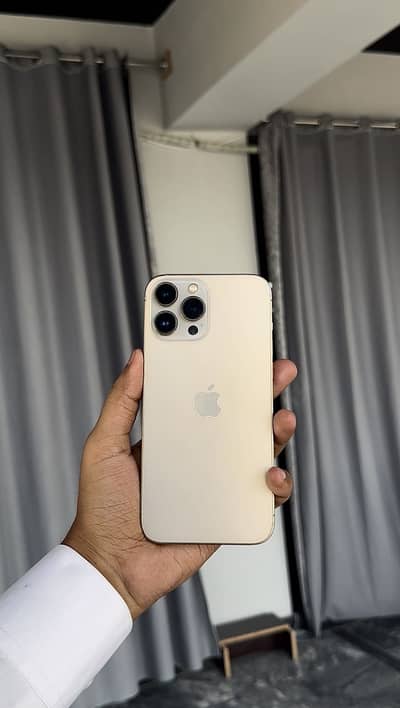 iPhone 13 Pro Max Waterpack Price Fix