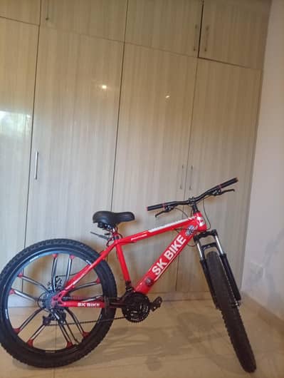 mountain bicycle