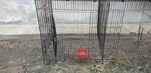 cage for sale