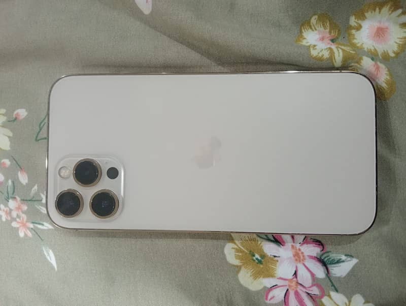 Apple iPhone 12 Pro Max 0