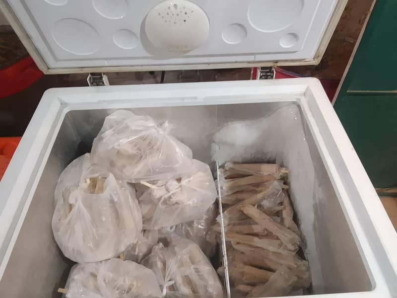 Freezer used 4