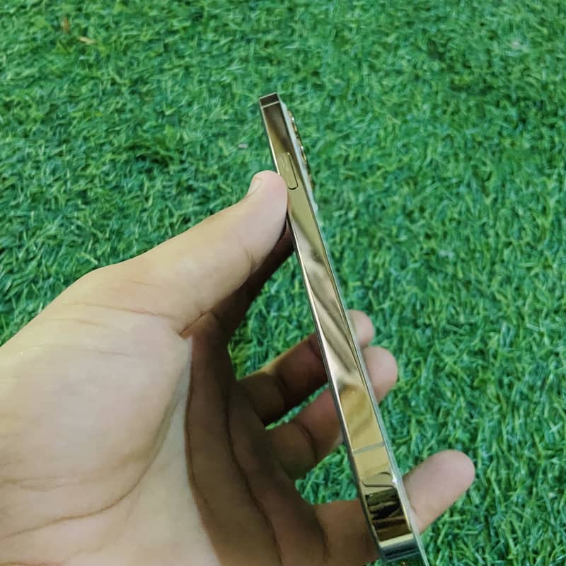 Apple iPhone 12 Pro Max 1