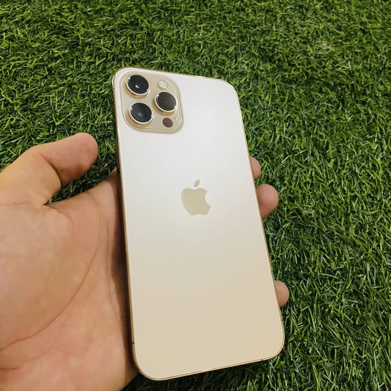 Apple iPhone 12 Pro Max 2
