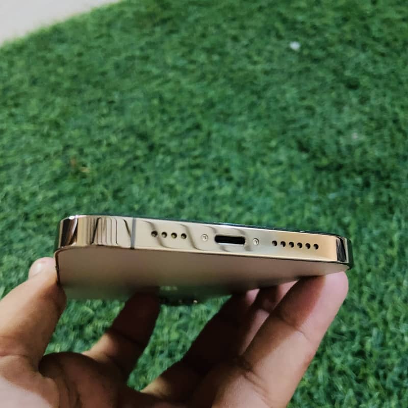 Apple iPhone 12 Pro Max 5