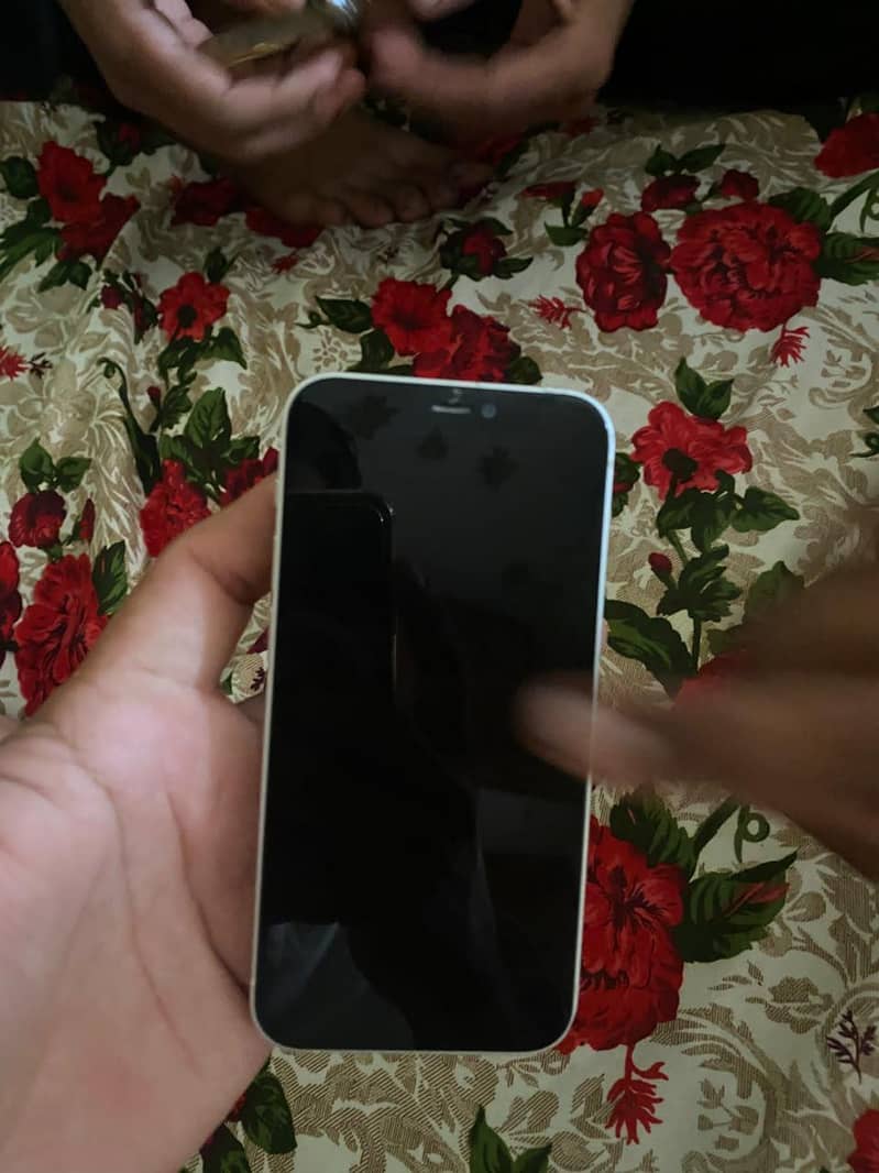 Apple iPhone 12 mini 1