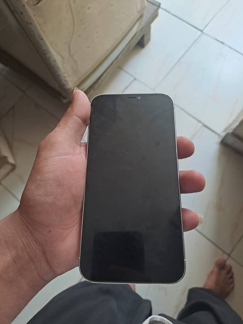 Apple iPhone 12 Pro Max 1