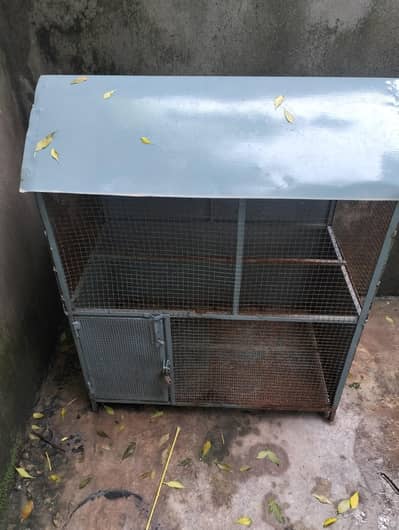 Birds cages