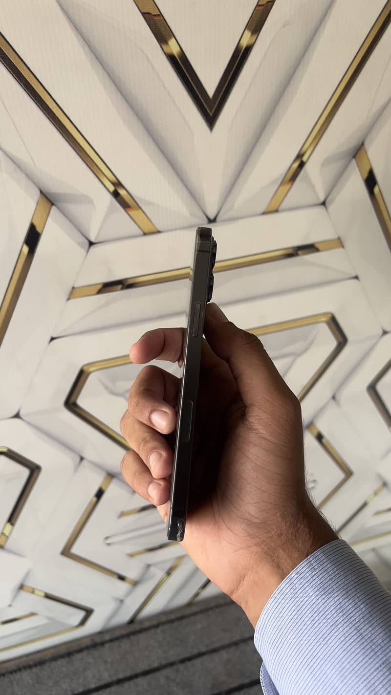 Apple iPhone 13 Pro Max 2